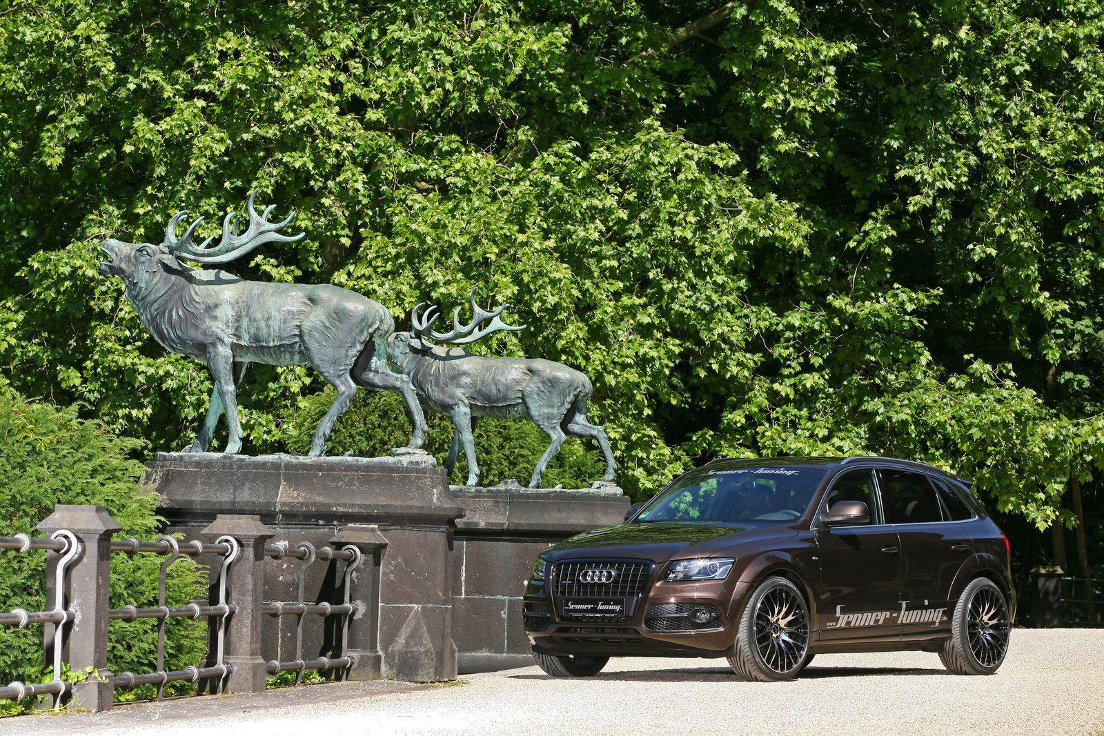 Audi Q5 dostala od Senneru větší výkon a styl 9