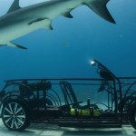 VW Beetle Cabriolet na pozorování žraloků