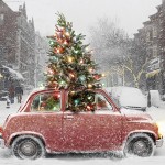8x vozů ideálních na přepravu vánočního stromu