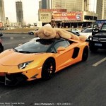 Převoz plyšového medvěda v Lamborghini Aventador 