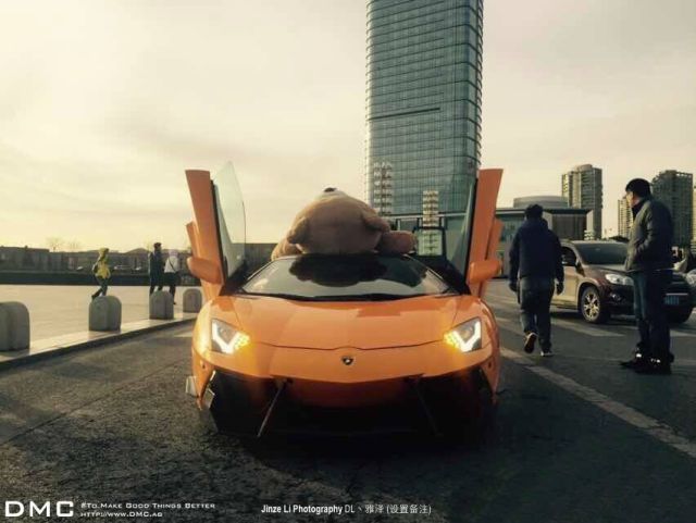 lamborghini-aventador-wearing-a-teddy-bear-on-its-roof-stops-traffic-in-china_9